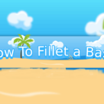 How To Fillet a Bass