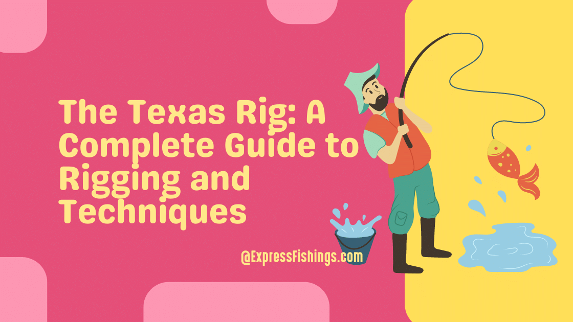 The Texas Rig A Complete Guide to Rigging and Techniques